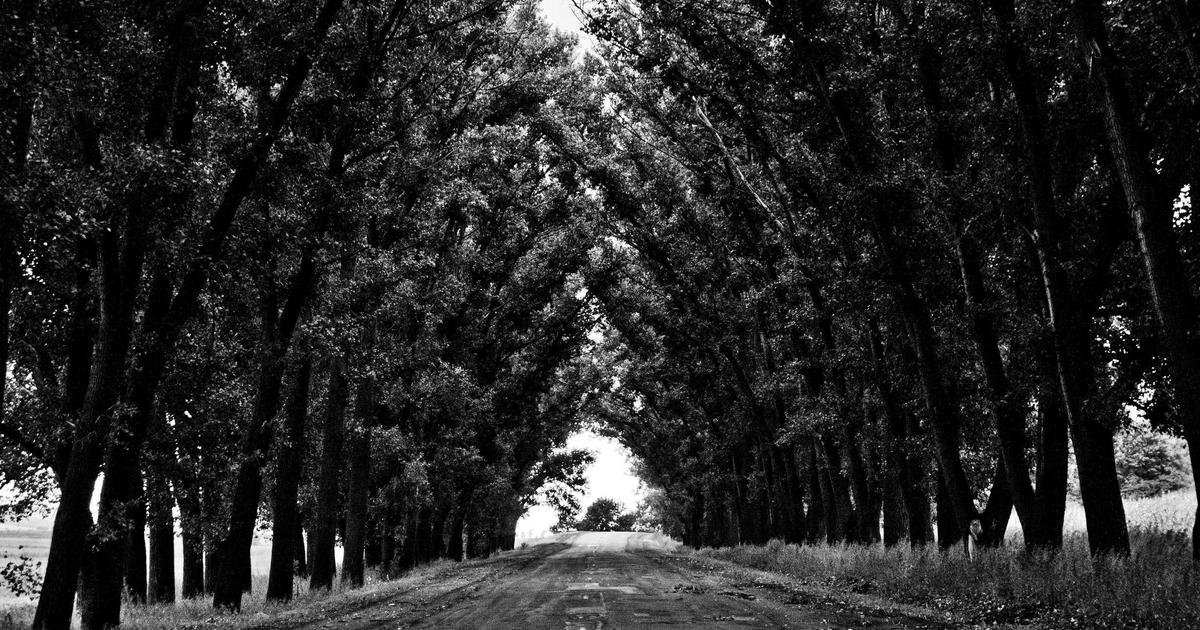 Comment financer sa première voiture quand on est étudiant ou jeune actif ?